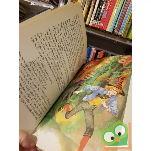 Wilhelm Hauff:A kőszív