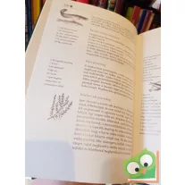 Kövi Pál: Erdélyi lakoma
