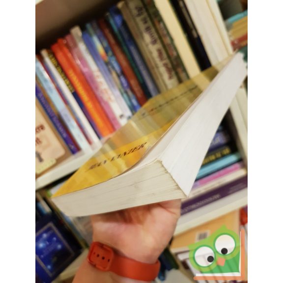 Jean Vanier: A közösség (a megbocsátás és az ünnep helye)