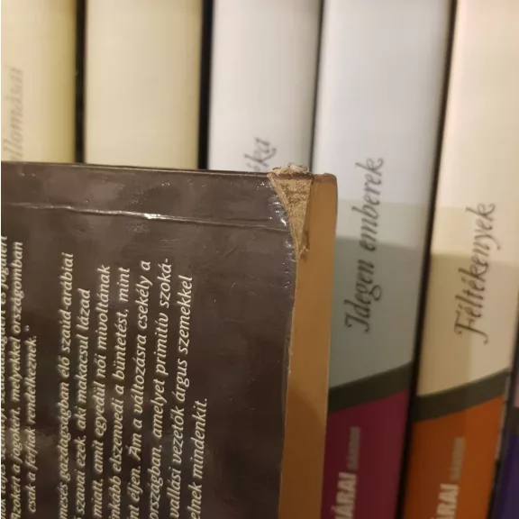 Jean Sasson: A ​fátyol mögött