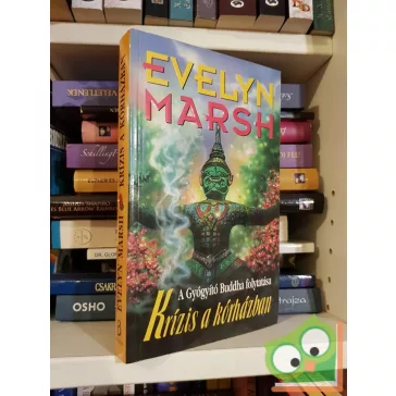   Evelyn Marsh: Krízis a kórházban (A Gyógyító Buddha 2.)