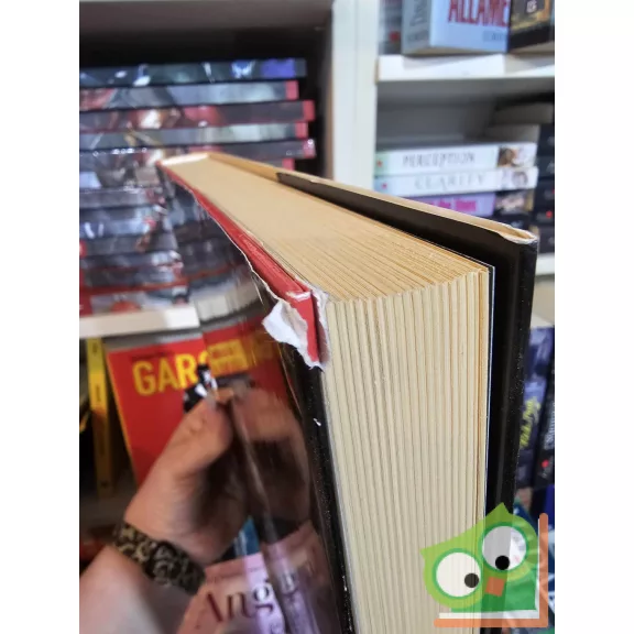 Kurt Cobain: Naplók (ritka)