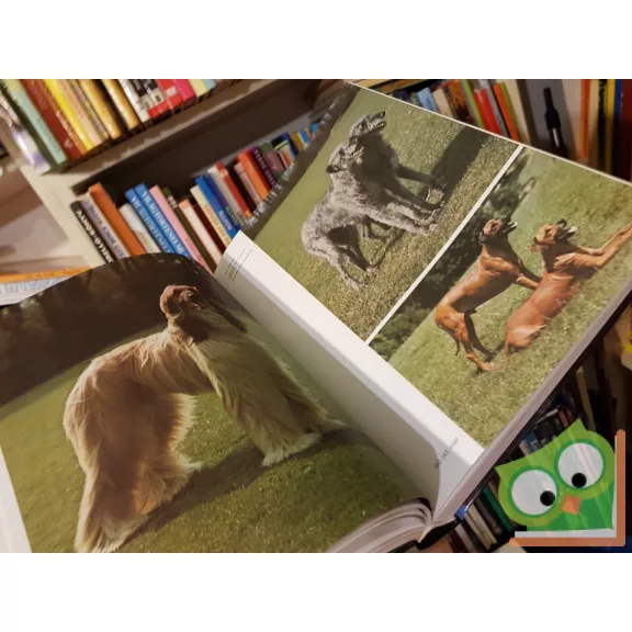 Veress István (szerk.): Kutyaenciklopédia