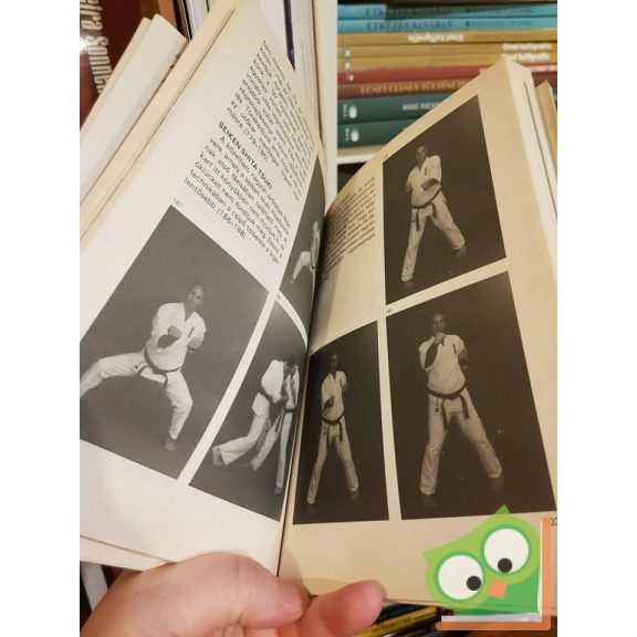 Adámy István: Kyokushin Karate