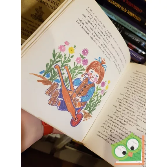 Bálint Ágnes: Labdarózsa lámpája (Labdarózsa 2.)