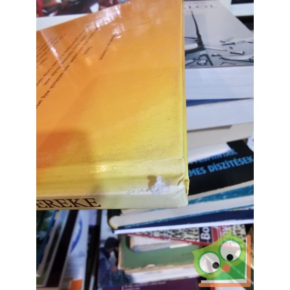 Lakner Lívia: Lakner bácsi és száz gyereke (ritka)