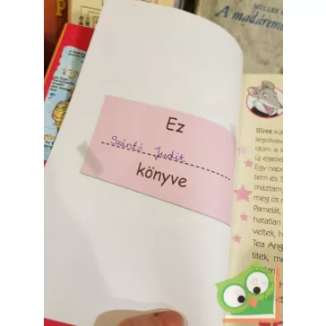 Tea Stilton: A lángoló hegy (Tea angyalai 2.)