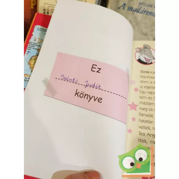 Tea Stilton: A lángoló hegy (Tea angyalai 2.)