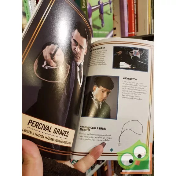 Michael Kogge: Legendás állatok és megfigyelésük – Filmkalauz