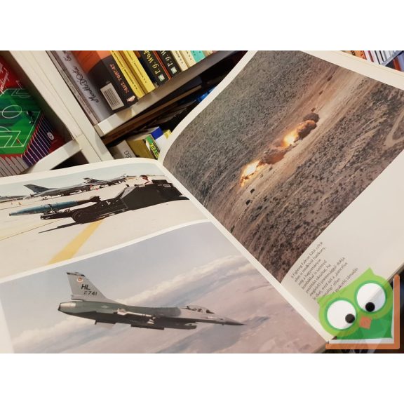 Lindsay Peacock: Légi tűzerő