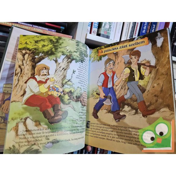 Jakob Grimm - Wilhelm Grimm: A legszebb Grimm mesék 2.