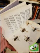 Móczár László: Legyek, hangyák, méhek, darazsak (Búvár zsebkönyvek)