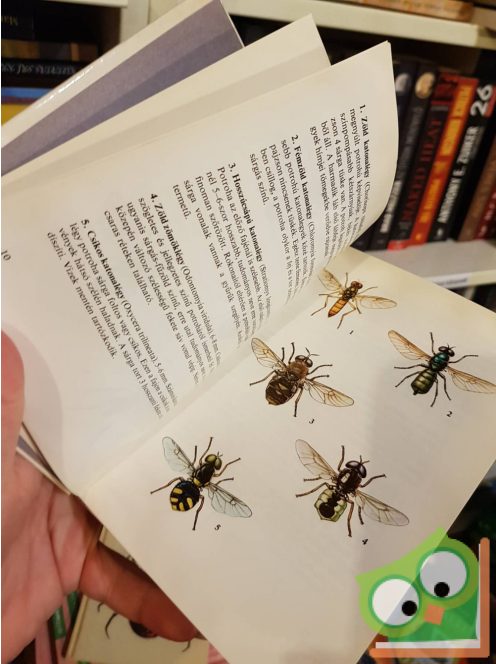 Móczár László: Legyek, hangyák, méhek, darazsak (Búvár zsebkönyvek)