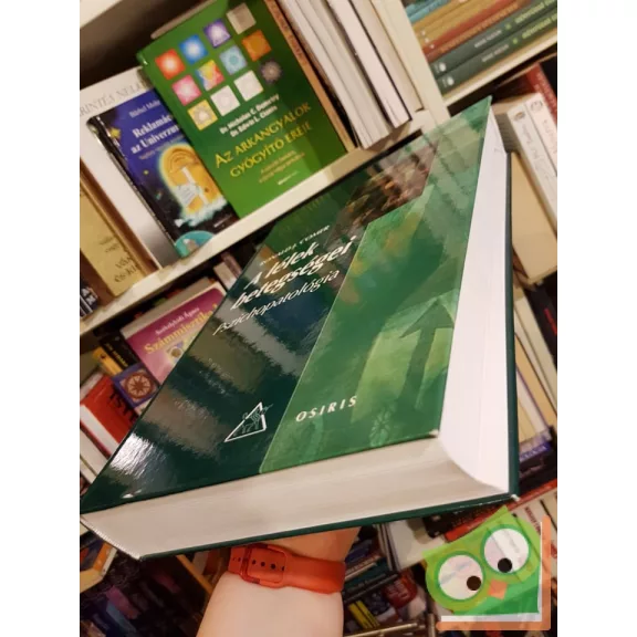 Ronald J. Comer: A lélek betegségei