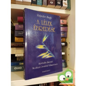 Rajinder Singh: A lélek ébredése