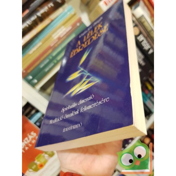 Rajinder Singh: A lélek ébredése