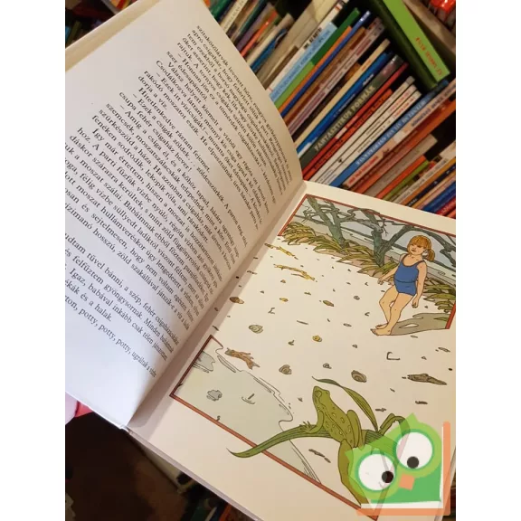 Bálint Ágnes: Lepke az írógépen