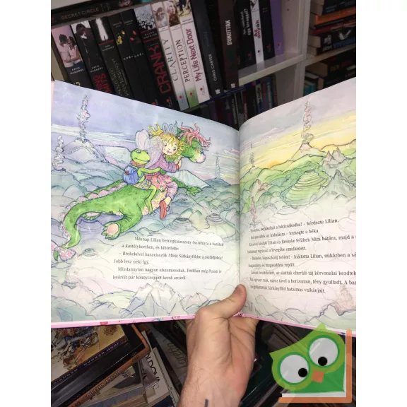 Monika Finsterbusch: Lilian hercegkisasszony és az elveszett sárkány