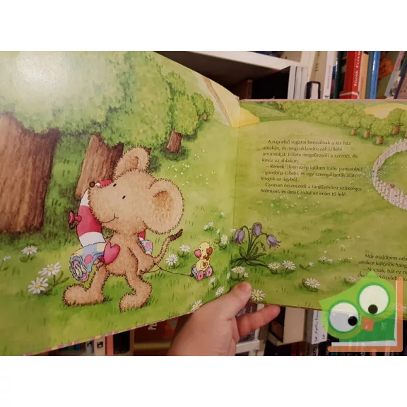 Nina Steinbeck: Lillebi barátra talál