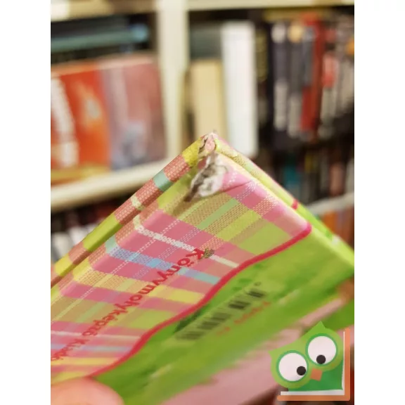 Nina Steinbeck: Lillebi barátra talál