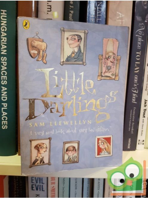 Sam Llewellyn: Little Darlings