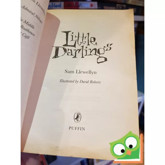 Sam Llewellyn: Little Darlings    