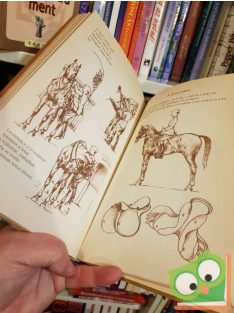   Flandorffer Tamás Hajas József: Ló és lovaglás (Második, javított kiadás)