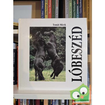 Tomáš Miček: Lóbeszéd