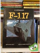 Robert Shelton Jr.: A lopakodó F-117