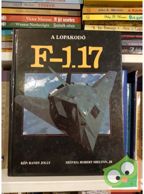 Robert Shelton Jr.: A lopakodó F-117