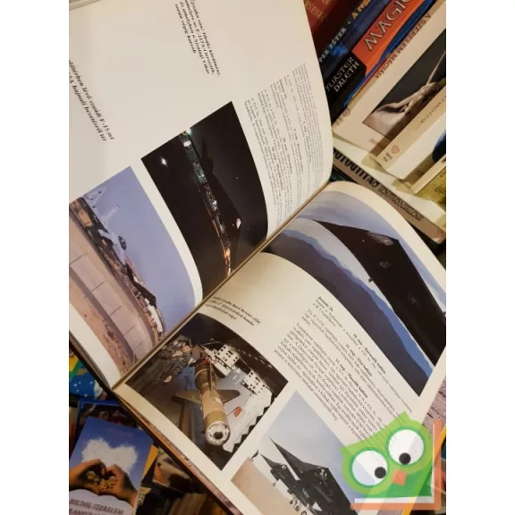 Robert Shelton Jr.: A lopakodó F-117