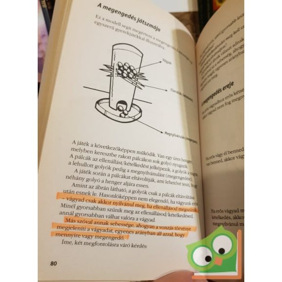 Michael J. Losier: Igy működtesd a Vonzás Törvényét!