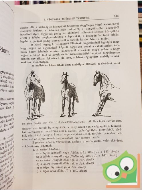 Kovácsy, Monostori: A ló és tenyésztése (számozott, reprint)