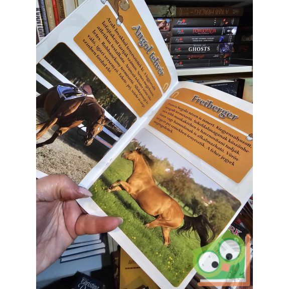 Krajnik Bíró Sára: Lovak és pónik