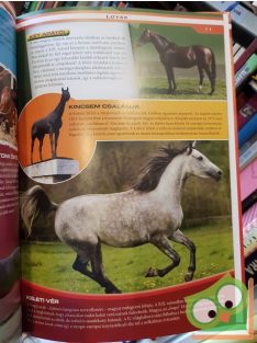 Lovak : Fajtatörténet, gondozás