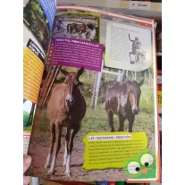 Fedezzük fel együtt - Lovak