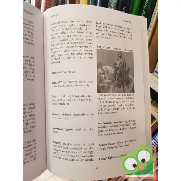 Huszthy Ádám: Lovas kislexikon - Lovasmester