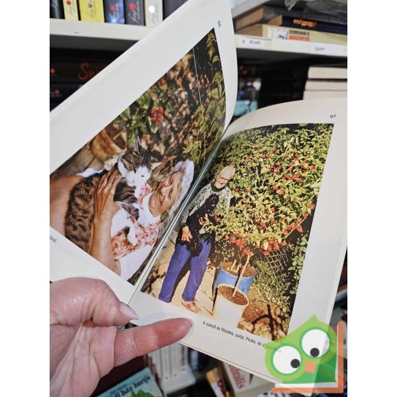 Schott Péter: Lugasparadicsom (ritka)