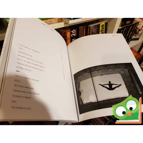 Lukácsi Ákos: Yoga Budapest