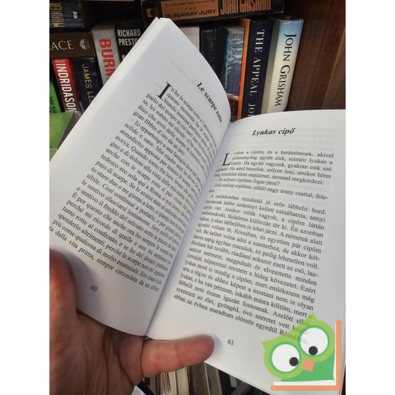 Fried Ilona (szerk.): Lyukas cipő / Le scarpe rotte