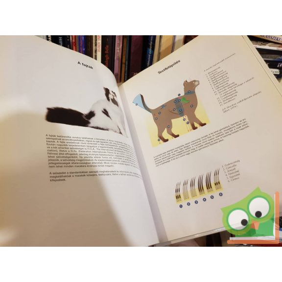 Macska Enciklopédia I-II.