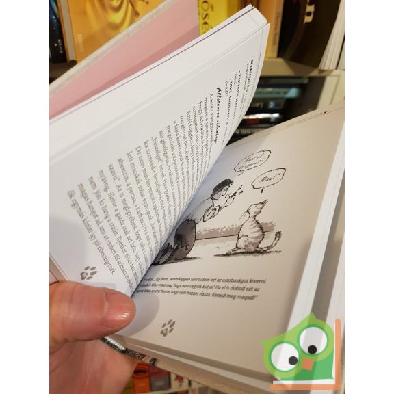 Jean Cuvalier: Macskabeszéd - Értelmező szótár