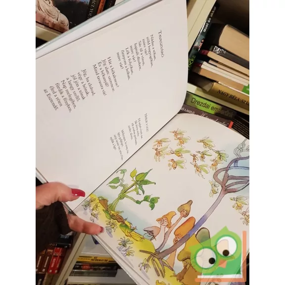 Janicsák István: Macskazenekar