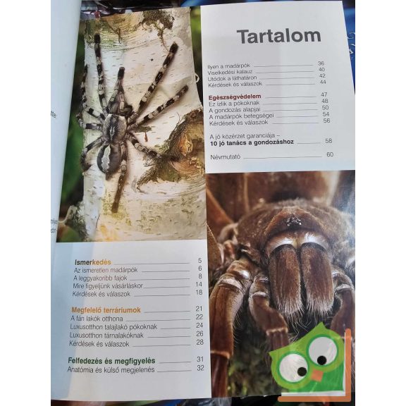 Kisállataink: Volker Von Wirth: Madárpókok