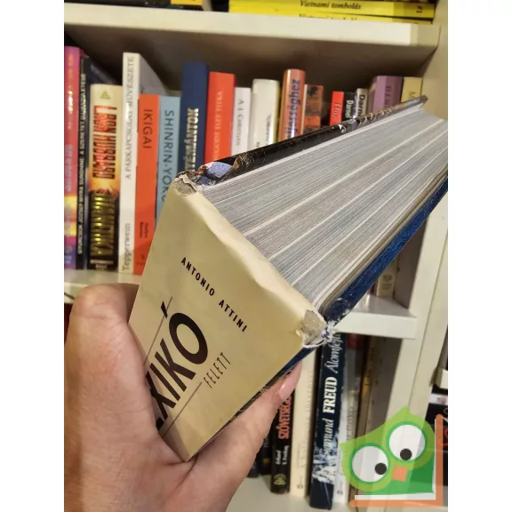 Antonio Attini, Pino Cacucci: Magasan Mexikó felett