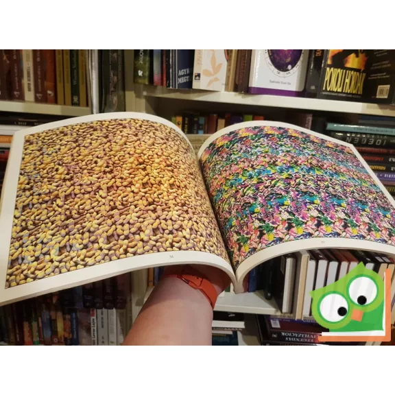 Magic Eye Gallery: A Showing of 88 Images