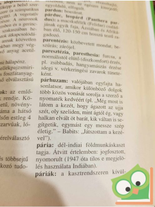 Gerencsér Ferenc (szerk.): Magyar értelmező szótár diákoknak