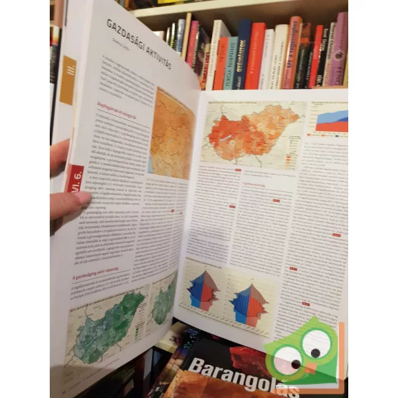 Kocsis K., Kovács Z., Nemerkényi Zs., Kincses Á., Tóth Géza (szerk.): Magyarország Nemzeti Atlasza: Társadalom