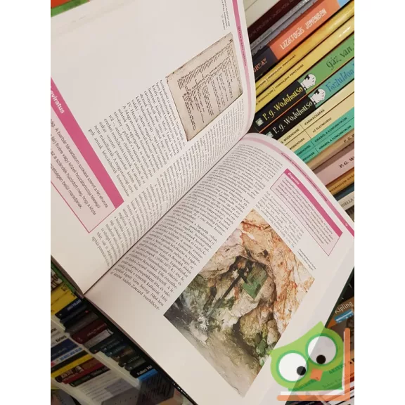 Magyarország története 2 - Font Márta: Államalapítás (970-1038)