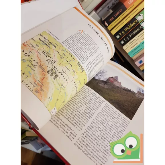 Magyarország története 4 - Zsoldos Attila: Nagy uralkodók és kiskirályok a 13. században